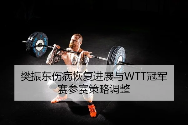 樊振东伤病恢复进展与WTT冠军赛参赛策略调整